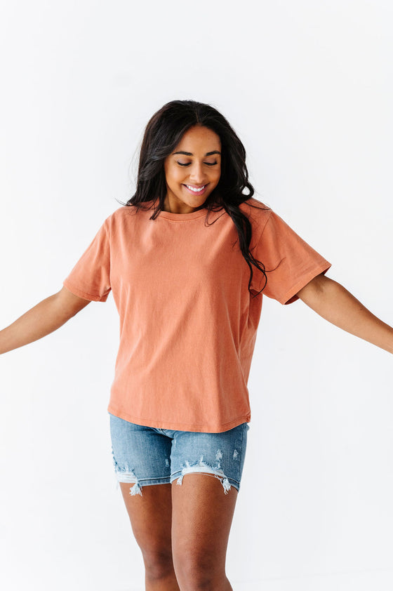 Dakota Crewneck Tee in Baked Clay