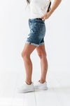 Holden Distressed Shorts