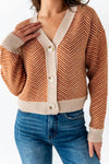 Ravi Cropped Cardigan in Rust