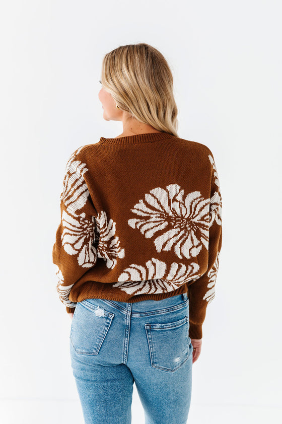 Jasper Sweater in Brown