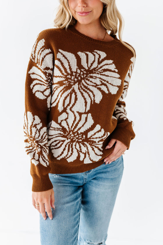 Jasper Sweater in Brown