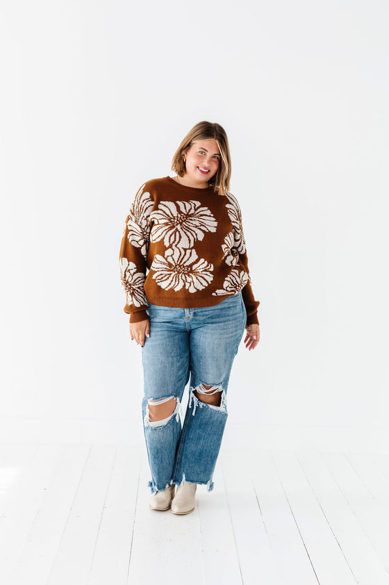 Jasper Sweater in Brown